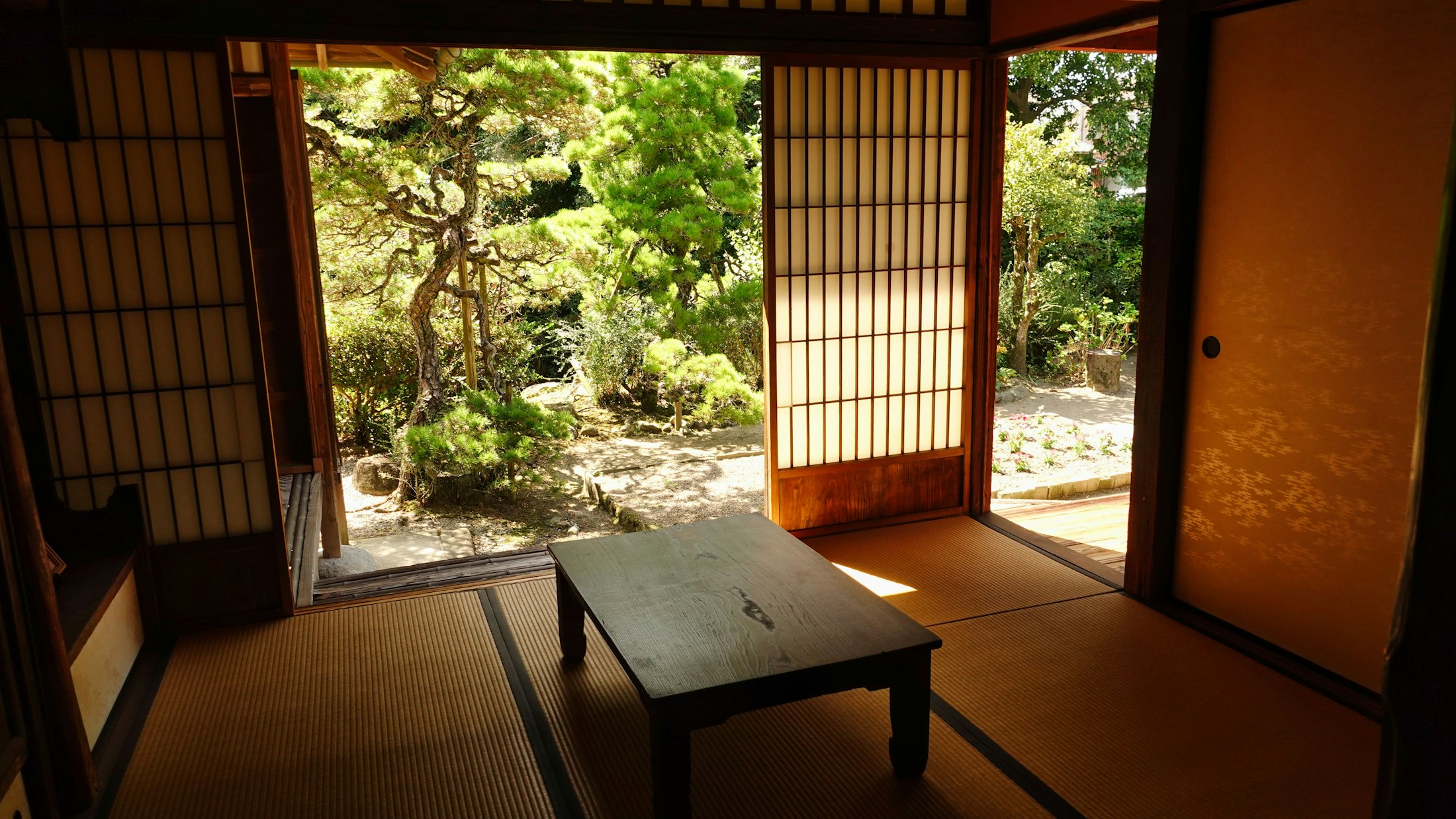 畳の間から庭を眺める縁側